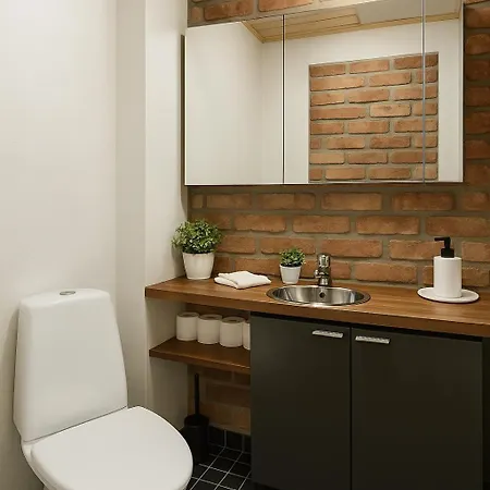 Finland Ratina: Spacious With Sauna Near Uros Live Arena Apartment Tampere