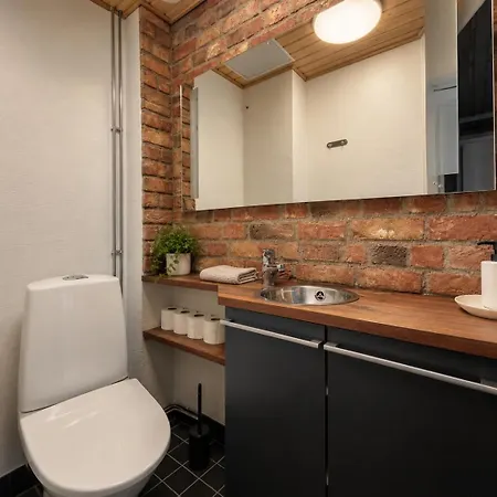 Finland Ratina - Spacious With Own Sauna And Great Location Next To Uros Live Arena